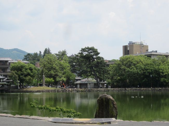 猿沢の池に出て奈良町に向かいます。