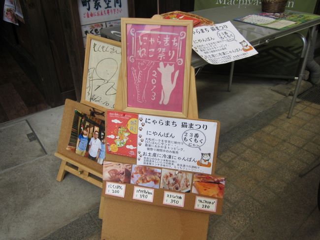 今年もここまで来てやっとねこ祭りらしい感じに