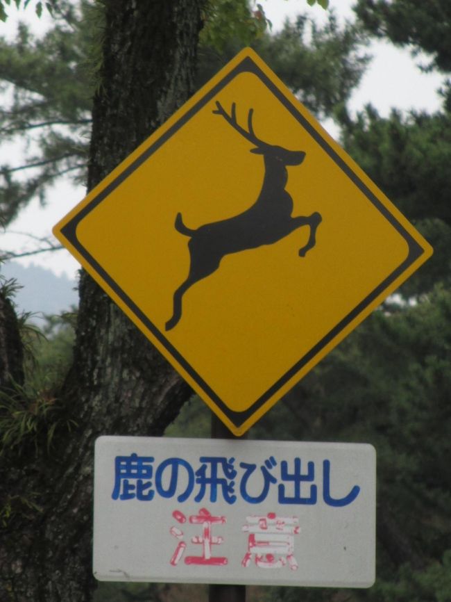 『鹿の飛び出し注意』の標識<br />奈良らしいです