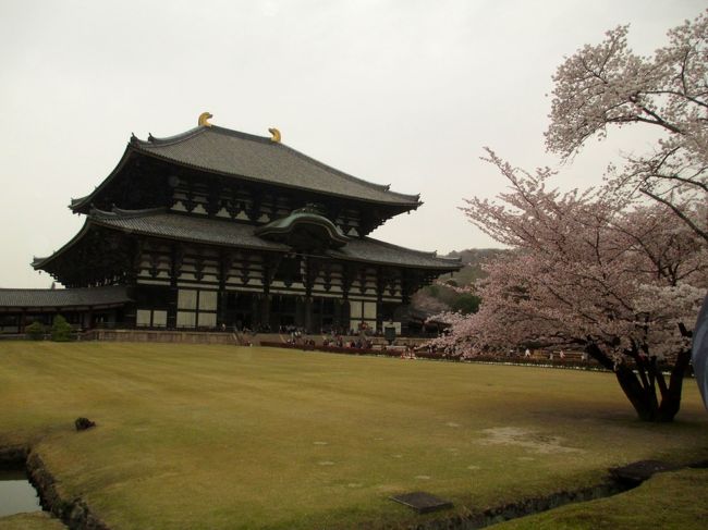 桜も満開で、人もすごいです。