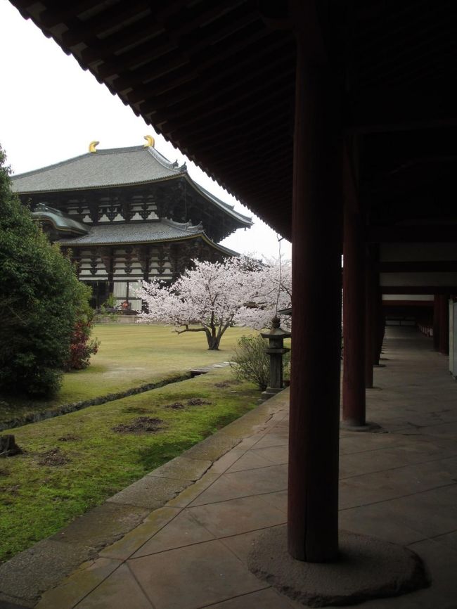 でも、あまり時間が無いので近鉄奈良駅へ向かいます。