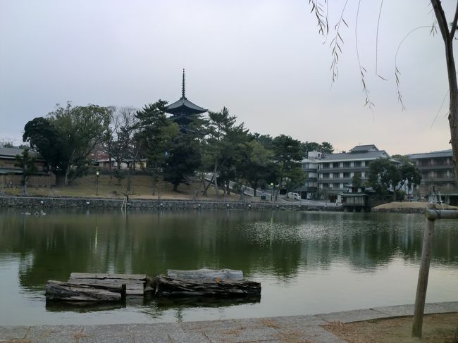 猿沢池、興福寺五重塔が周囲の柳と一緒に水面に映る風景