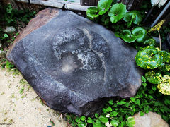 トイレのある奥へ抜け、外にも大きな礎石がありますが実際には周りが削られているそうで本来はもっと大きいそうです。

ならまち一帯が伽藍跡となるので、今も地中にはこのような礎石が残っているそうです。

しかし中世以降の宅地化でほとんどは埋められたままになってしまっていて、調査するにも家を取り壊した時にしかできないそうです。


