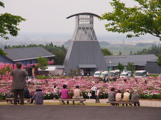 目にも鮮やか シャクヤクの楽園 色麻町 愛宕山農業公園シャクヤク園 古川 大崎 加美 宮城県 の旅行記 ブログ By こあひるさん フォートラベル 目にも鮮やか シャクヤクの楽園 色麻町 愛宕山農業公園シャクヤク園 古川 大崎 加美 宮城県 の旅行記 ブログ By こあひるさん フォートラベル
