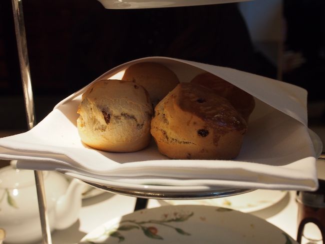 焼き立てスコーンがきました。<br />プレーンとチョコ入りの２種類で、<br />ジャムとクロテッドクリーム付きです。<br />クロテッドクリームは少なめですが、<br />おかわりできました。<br />