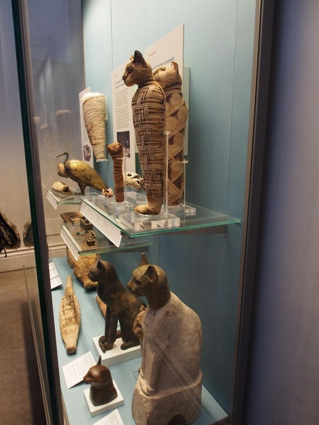 ネコのミイラです。<br />置物はかわいいですが…ちょっと怖い。