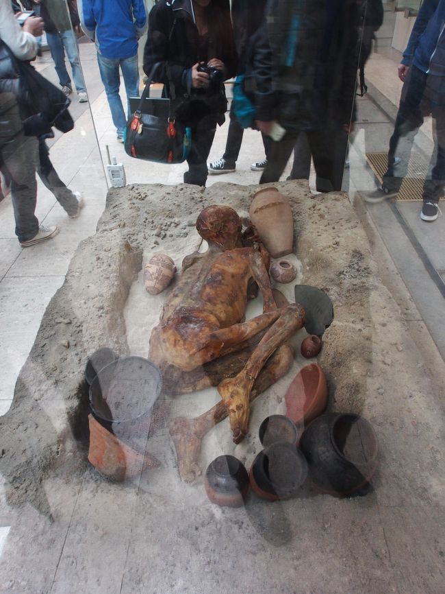 あの有名なジンジャーです。