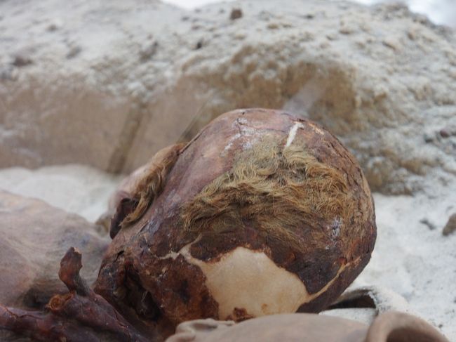 ジンジャーと呼ばれる所以の髪の毛がハッキリ残っています。