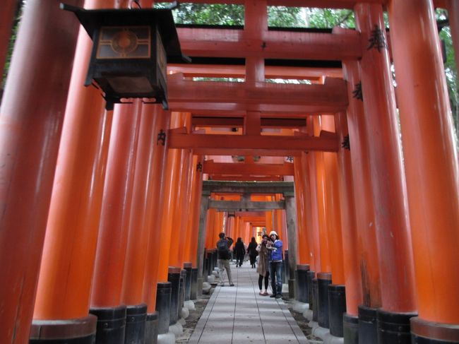 そして、さらに階段を登ると沢山の鳥居が見えてきました