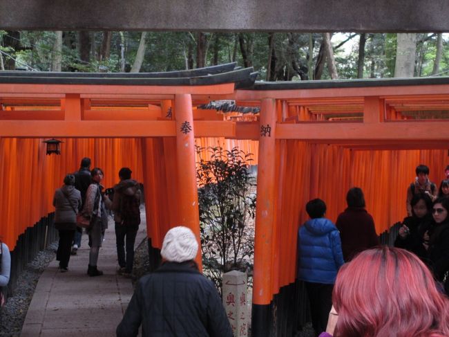 途中に別れ道がありました。<br />どっちに行ってもいいみたいです。