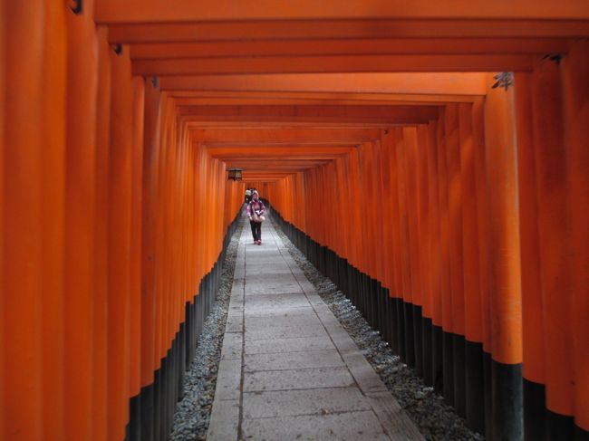 鳥居に囲まれて、なんか神秘的です