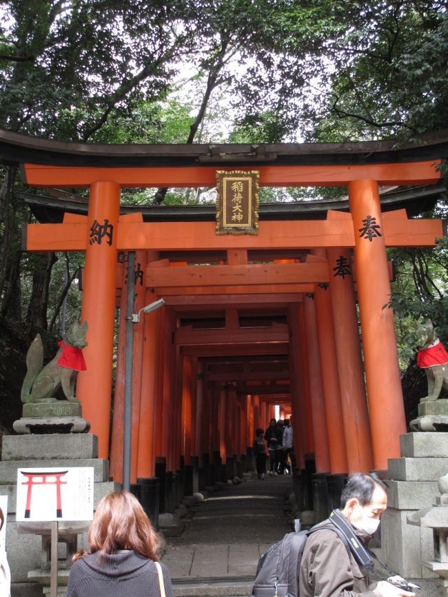 やっと着きました。<br />おもかる石やっておけば良かった…（泣）