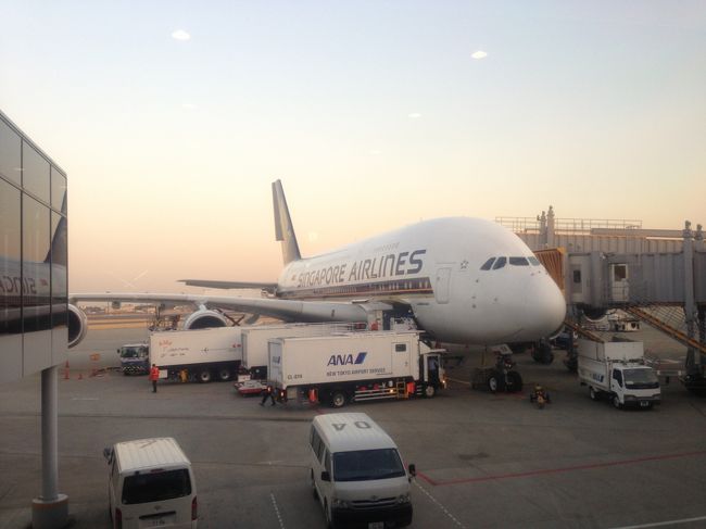 今回は成田ーＬＡをＳＱで、ＬＡ−ＳＦをＵＡで。<br />ＳＱは初の二階建てジェット！もちろんupper deckをセレクトしました！