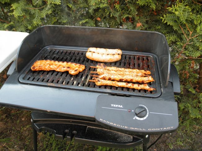 　ドイツでの最後の夕食は、なんと、友人宅のお庭でバーベキュー。<br /><br />　テラスで夕陽を見ながらお肉とワイン。これ以上のゼイタクってないよなあ。<br /><br />　肉もうまいし。