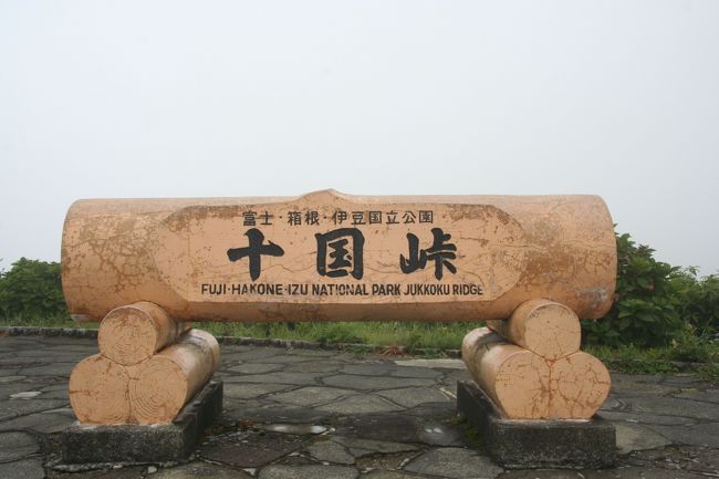 晴れていれば、このバックに富士山が見えるのですが、残念