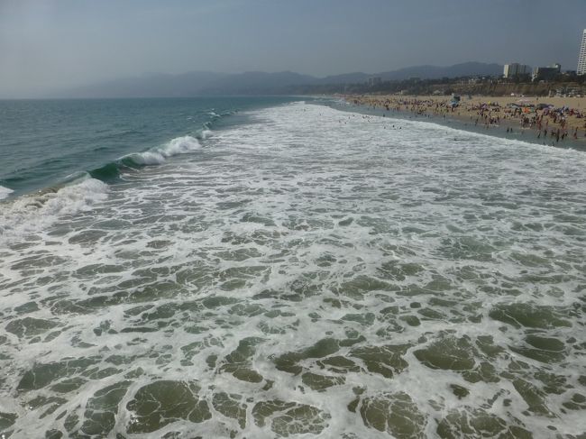 この日は肌寒い日だったけど、みんな気持ち良さそうに泳いでました。