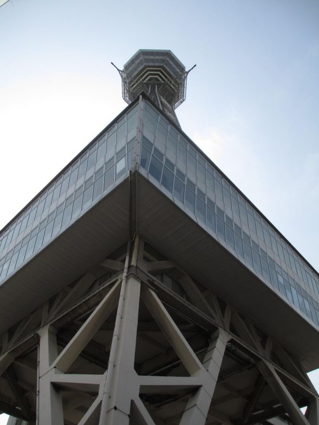 下から見ると迫力があります。