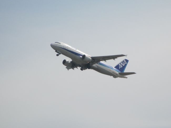 目の前に飛行機がたくさん飛んでいきます