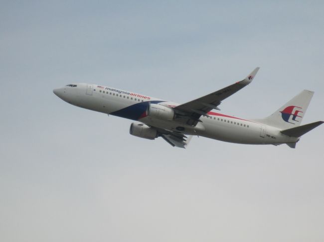 海外の航空会社も飛んでいきます