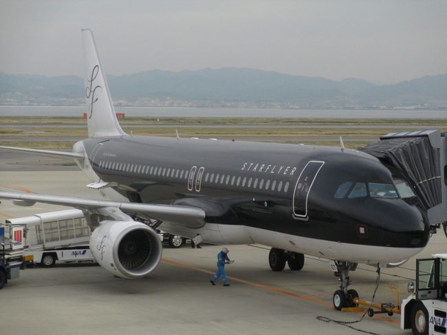 この飛行機に乗ります