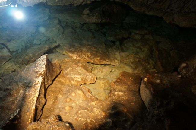 ちょっとしたツアー。<br /><br />真水だそうです。<br /><br />自由参加。