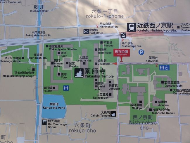 大きくもなく、小さくもない　「薬師寺」　でした。