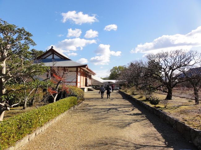 「天武天皇」が後の「持統天皇」である「鵜野讃良（うののさらら）皇后」の病気平癒を祈願して薬師寺の建立を発願したのが始まりです（日本書記）。