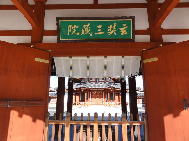 本日は開いてない模様です。