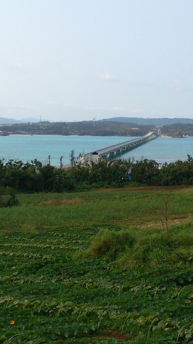 ホテルで海を眺めながらの朝食を取り、<br />古宇利島へ。<br /><br />相変わらずの美しさ。<br /><br />ここは何度訪れても素敵です。<br /><br />今回も島を一周。<br /><br />それにしても、建物増えたな〜<br />完全な観光地化してきてます。