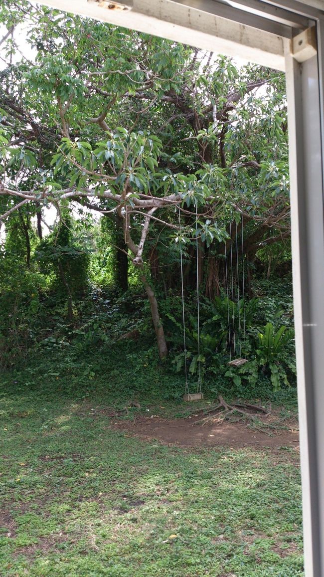 店内には飲食スペースがあり、<br />買ったパンを温めてもらい、<br />食べれます。<br /><br />窓からはブランコも見え、<br />なんともいえないゆったり時間を<br />味わえます。<br /><br />帰りにブランコ、乗りました。