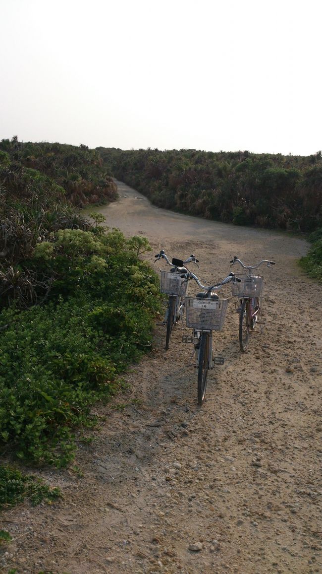 平日だからか、人がいません。<br /><br /><br />本当にしずかな、独特の空気が流れる島。<br /><br /><br />なにもない贅沢。