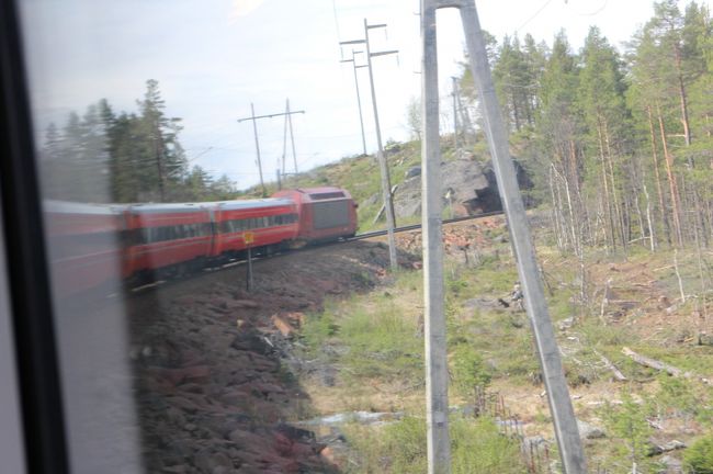 ちょっと窓の反射が残念ですが、こんな感じの列車です。