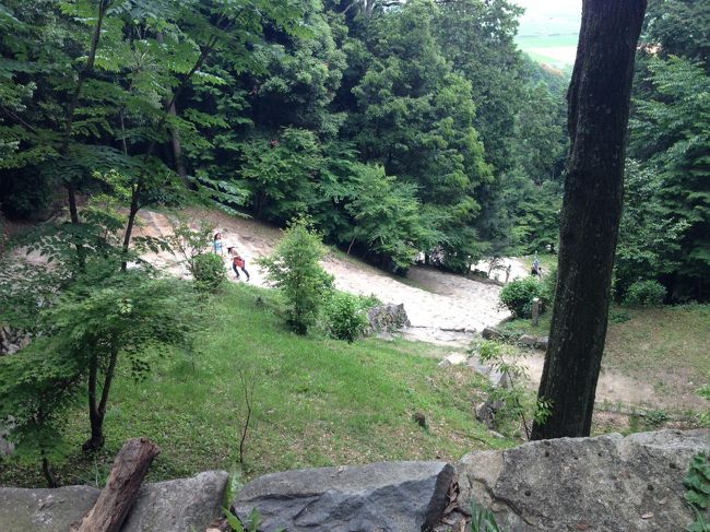 結構上ってきましたが、まだ上が見えず。