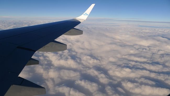 と、そんなことを考えながら、飛行機は雲の上。だから何だってことだけど…。翼の先端のロゴがイイっすね