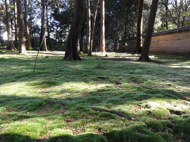 ちょっと離れてます。