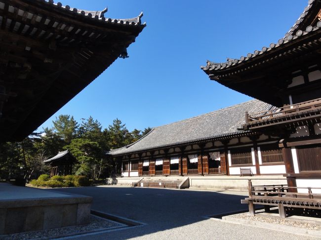手前の屋根が　「金堂（国宝）」<br /><br /><br />奥が　「講堂（国宝）」<br /><br /><br />手前右が　「鼓楼（国宝）」　