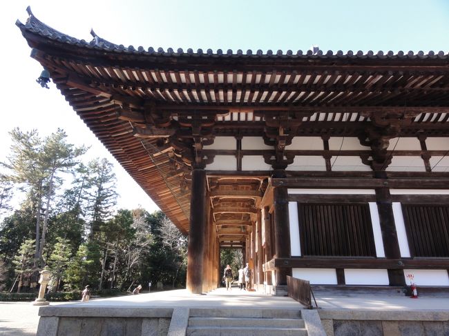 「金堂」　の建物には入ることができず、外からの拝観です。