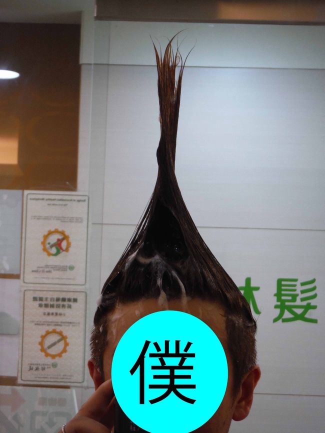 とうとう未知の領域に足を踏み入れてしまったーー！！<br /><br />一日中歩き回り、いい塩梅に髪の毛がベタついてきたので西門の「小林髪廊」さんで台湾式シャンプー初体験☆<br /><br />前回、台北から帰国後、嫁と「次はシャンプーしちゃう？」って企んでから１年、せっかくなので髪の毛を伸ばして挑んでみました。<br />