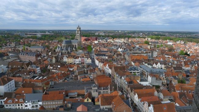 鐘楼の頂上の高さは83メートルなので、ブルージュの街全体が見渡せる。赤茶色の屋根の色がとてもキレイなんですよね。