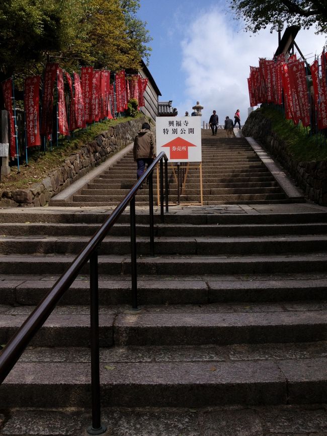 いよいよ興福寺へ。特別公開の案内あり。