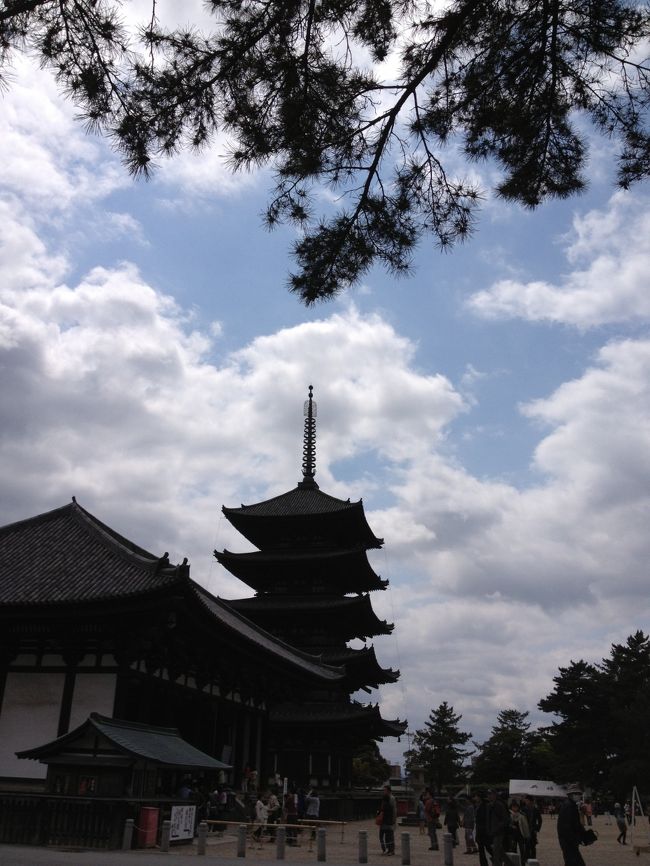 興福寺といえば五重塔。