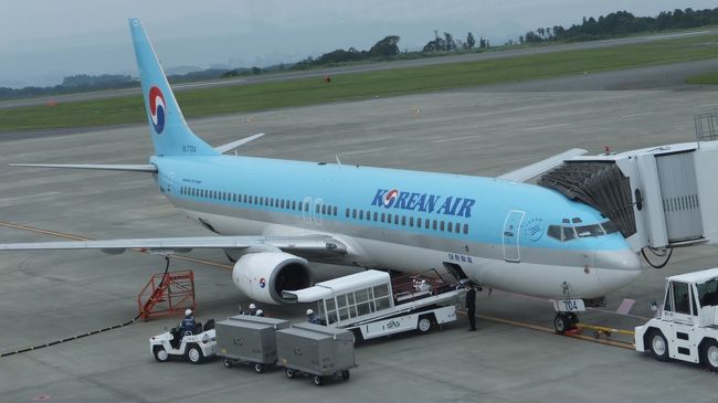 KE７８０便。<br />圧倒的に韓国人多し。<br />静岡空港は駐車場無料です。<br />何日停めても。