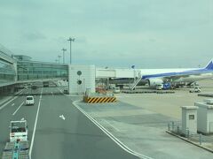 
あっという間に羽田空港に到着。。

羽田空港も随分と広くなりましたね。。