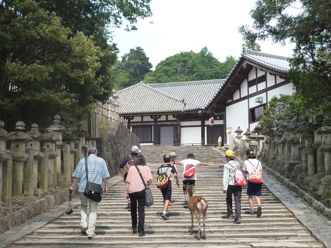 法華堂への階段。<br />もう暑くてへばってしまいました。