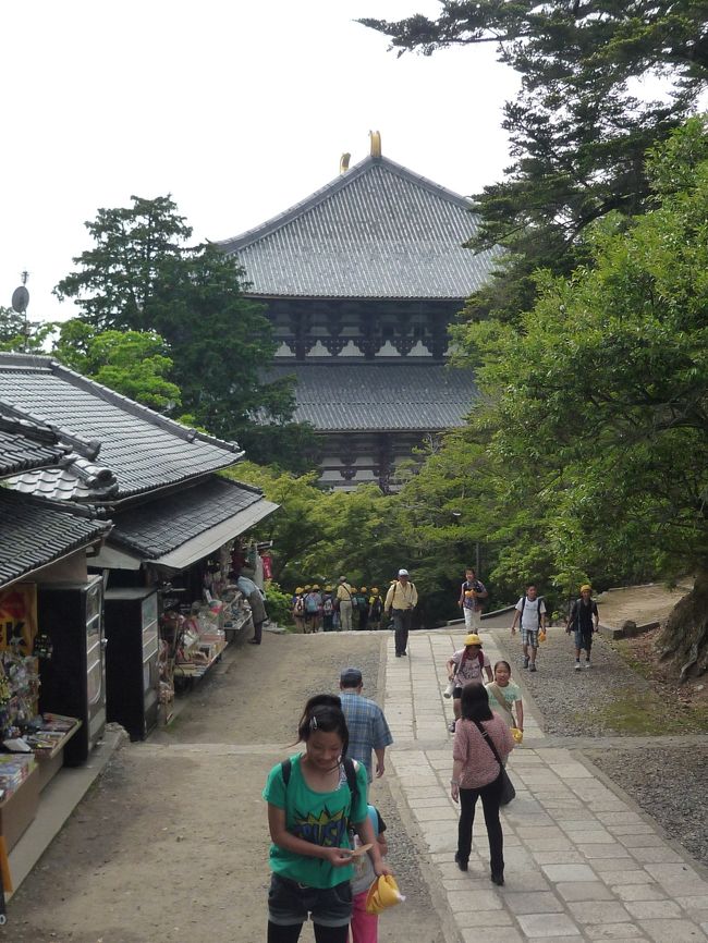 中に安置されている仏様たちに、ずいぶんゆっくりとお話しすることができました。<br /><br />日光・月光がないのは寂しいですが、耐震構造の東大寺ミュージアムに安置させないと塑像は壊れるのが心配という話を聞いて、仕方がないのかしらと納得しました。<br /><br />私たち代だけのものではありませんものね。不空羂索観音様もきっと我慢していらっしゃることと思います。