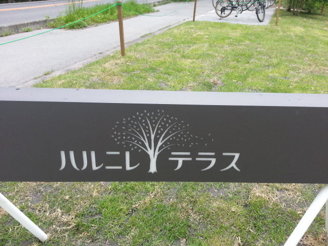 ここを「ハルニレテラス」という。。らしい。
