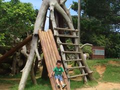 ■ビオスの丘

海ではなく木に囲まれたスポット。