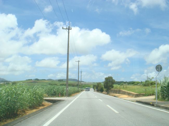 古宇利島方面へ向かう道。