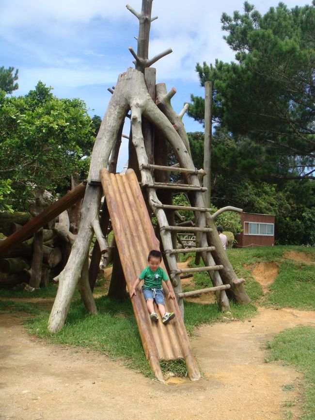 ■ビオスの丘<br /><br />海ではなく木に囲まれたスポット。