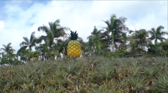 パイナップルパーク